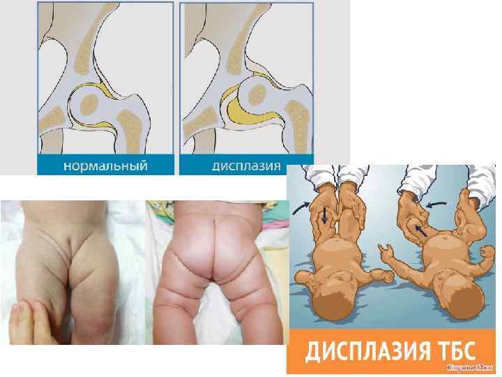Результаты поиска