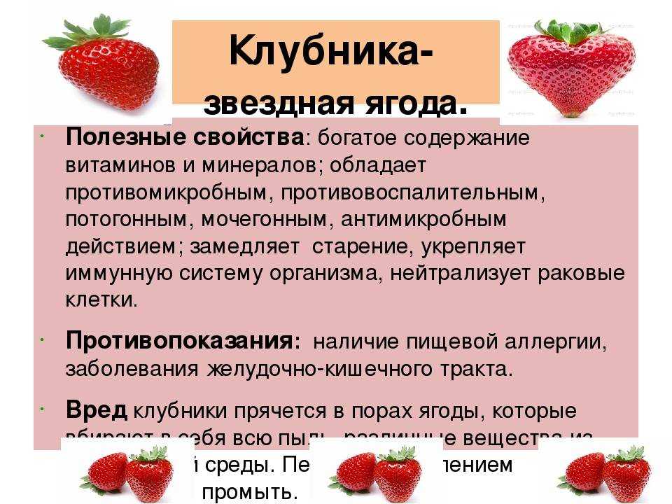 Сколько калорий в клубнике на 100 грамм, калорийность и бжу в 1 шт виктории
