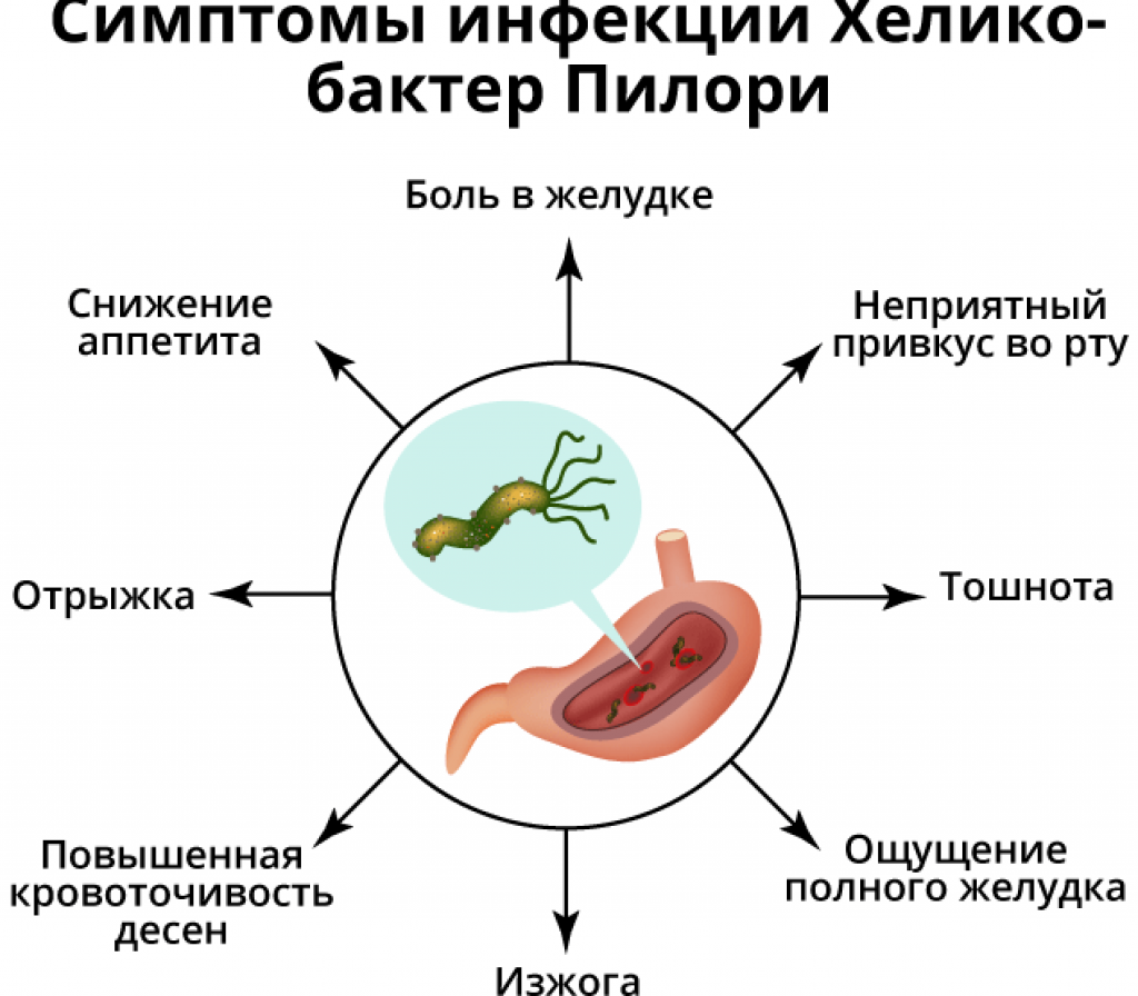 Пути инфицирования хеликобактер пилори