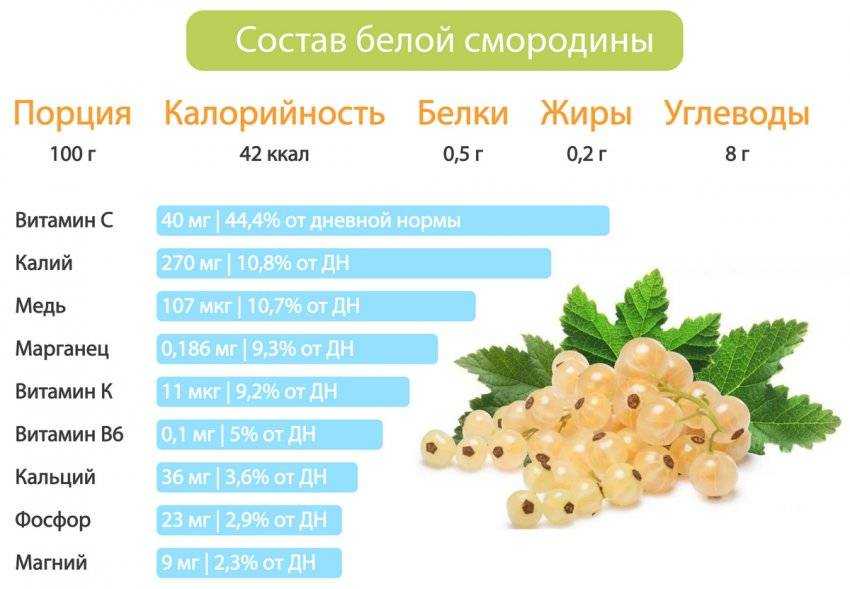 Мед: польза и вред, калорийность, советы врача