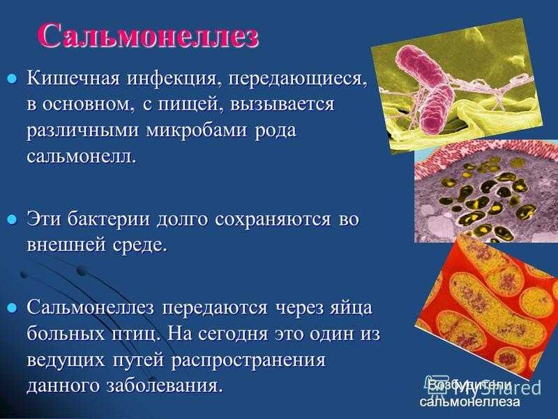 Сальмонеллез передается через. Кишечные инфекции заболевания. Бактериальные кишечные инфекции. Острые кишечные инфекции презентация.