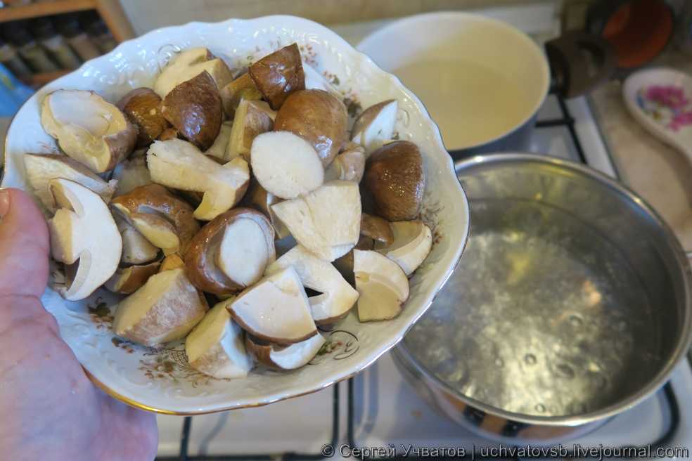 Калорийность грибов на 100 грамм (жареные, белые, тушеные)