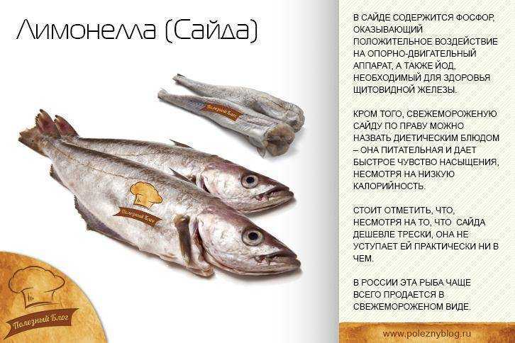Лемонема – морская рыба отряда трескообразных, 150 г которой восполняют суточную потребность человека в йоде