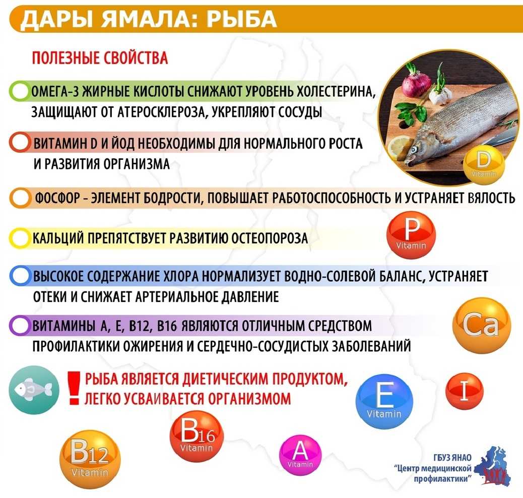Форель: калорийность рыбы, приготовленной разными способами