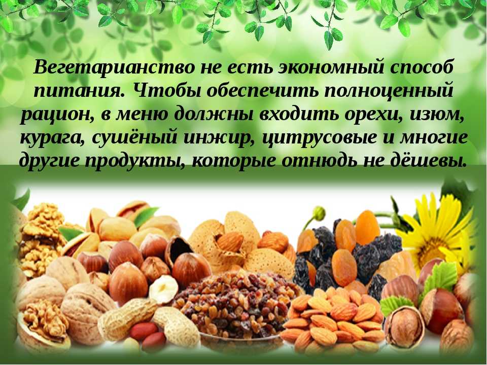 Философия вегетарианства кратко и понятно