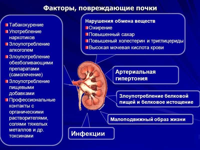 Клиническая картина заболеваний почек