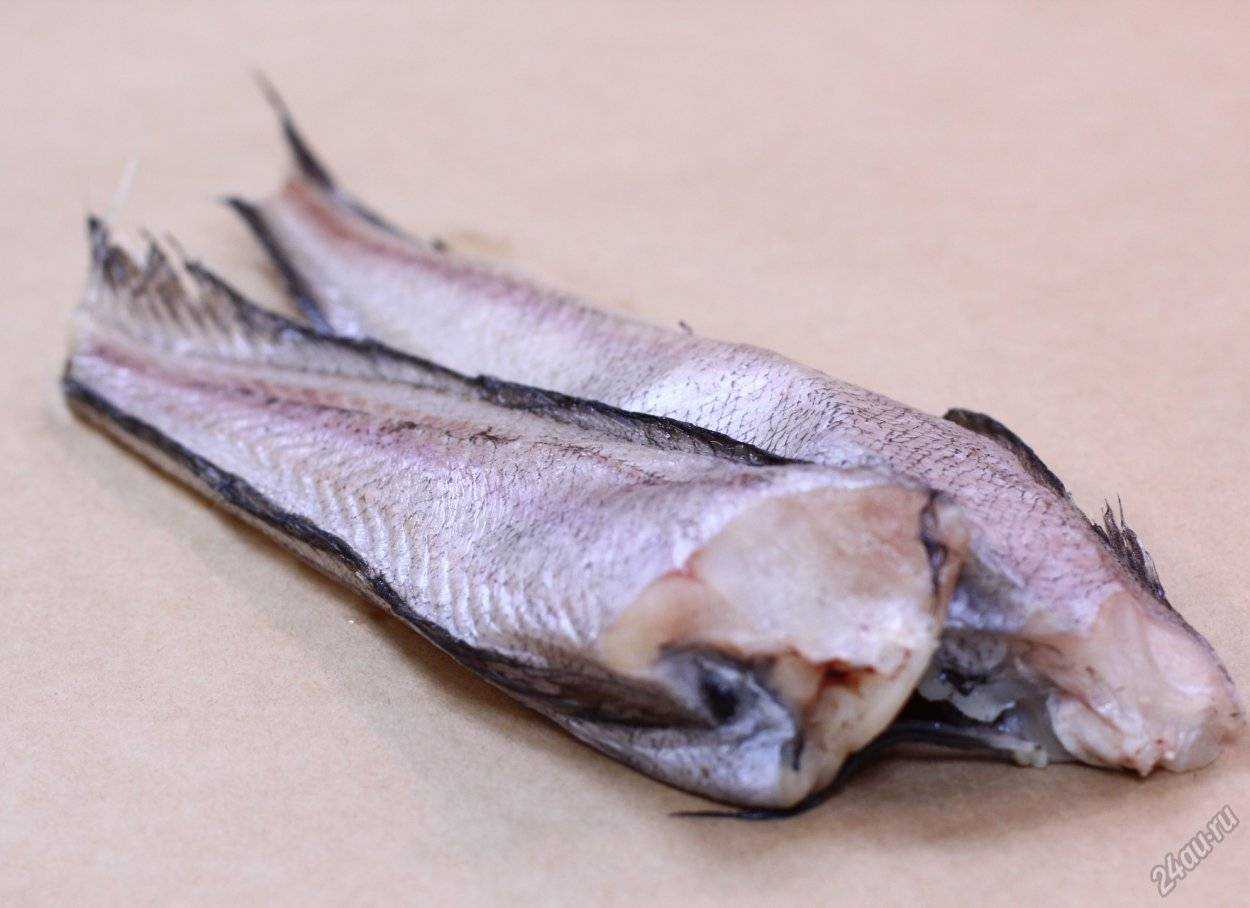 Полезна ли рыба лимонелла. лимонелла рыба польза и вред. рецепт запеканки из рыбы лимонеллы