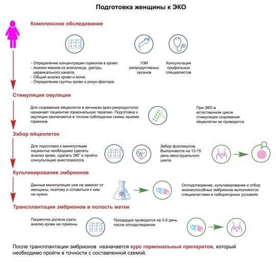 Белковая диета при эко: меню на каждый день перед стимуляцией яичников, после переноса эмбрионов для женщин, продукты, правила питания | customs.news