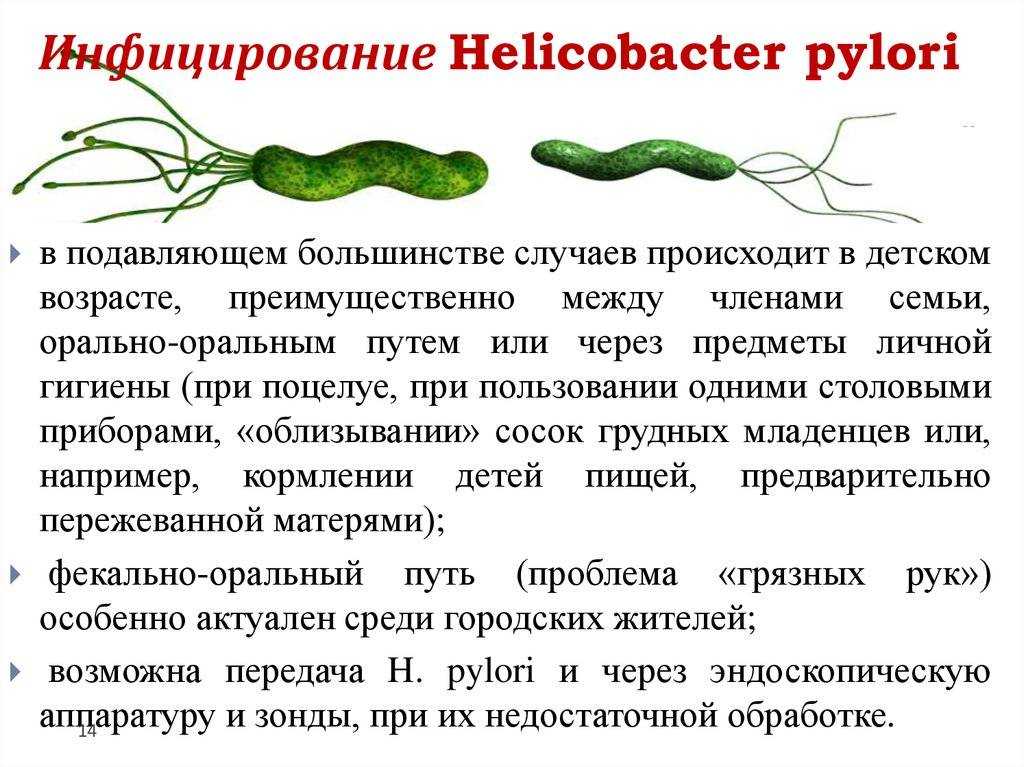 Хеликобактерная инфекция презентация