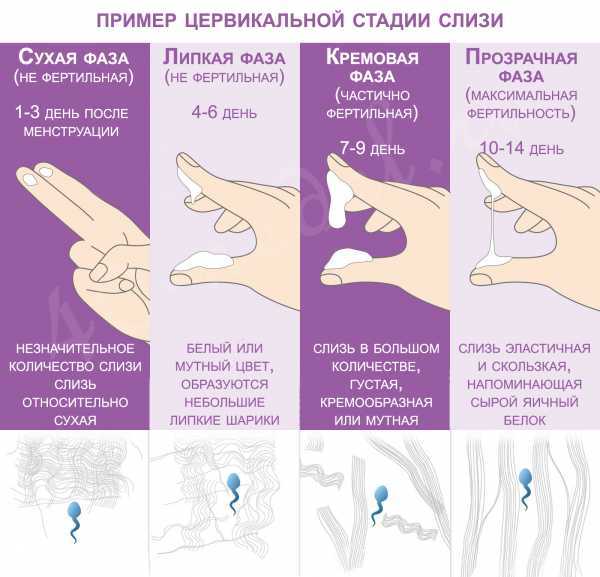 Выделения после месячных какие должны быть картинка