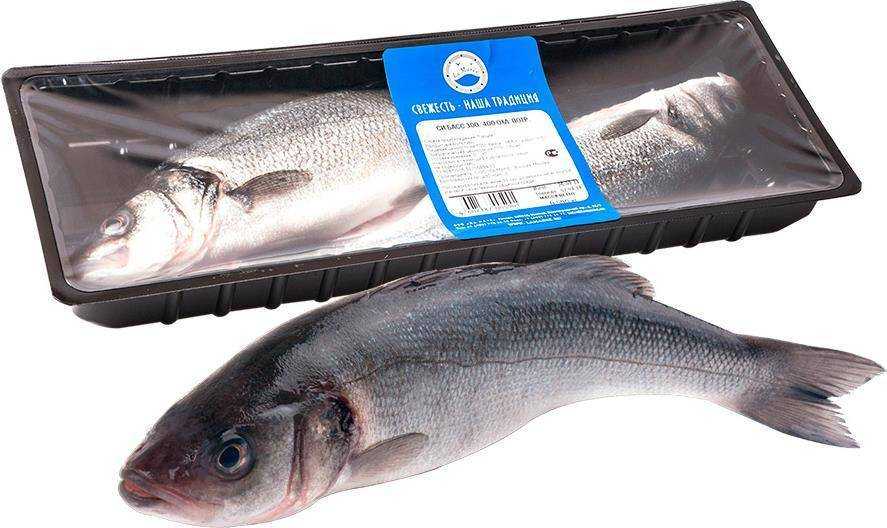 Сибас жирная рыба. рыба сибас: калорийность, полезные свойства, приготовление и особенности
