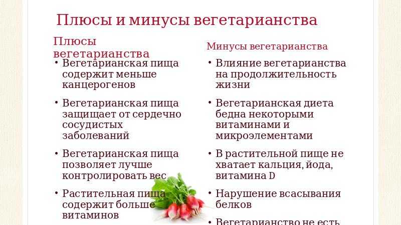 Плюсы и минусы диет