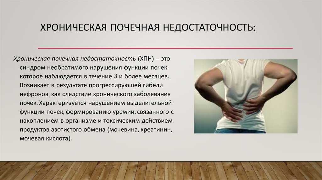 Стадии хронической почечной недостаточности: полиурическая, терминальная