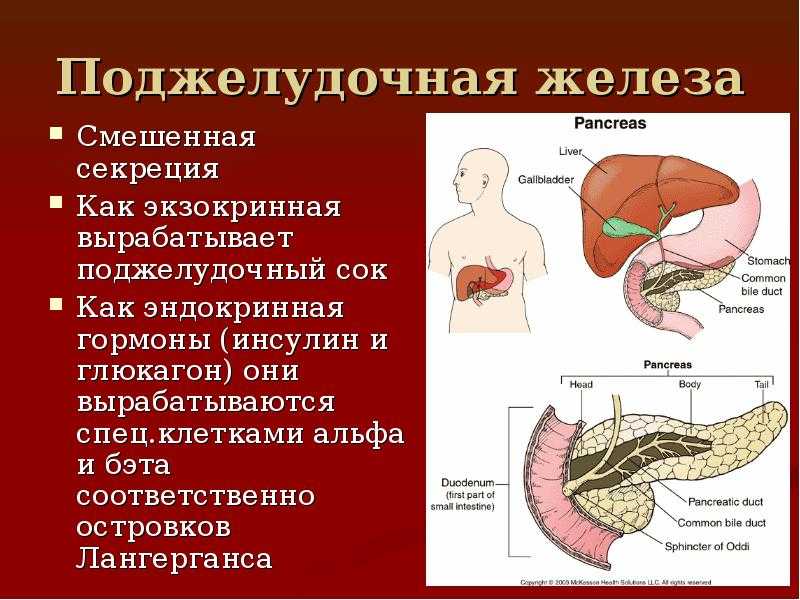 Экзокринные гормоны поджелудочной железы. Поджелудочная железа поджелудочный сок инсулин. Гормоны поджелудочной железы патологии. Поджелудочная железа вырабатывает гормон.