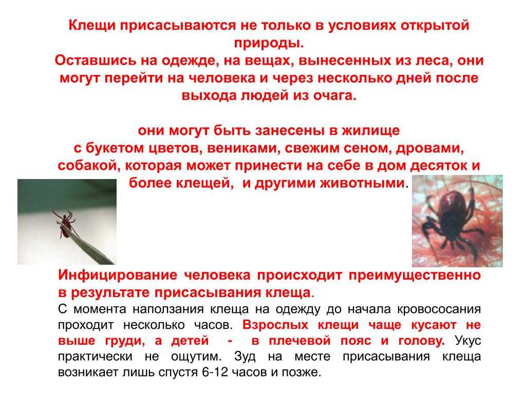 Что такое сердечно-сосудистые заболевания? список заболеваний, статистика и рекомендации по профилактике ссз
