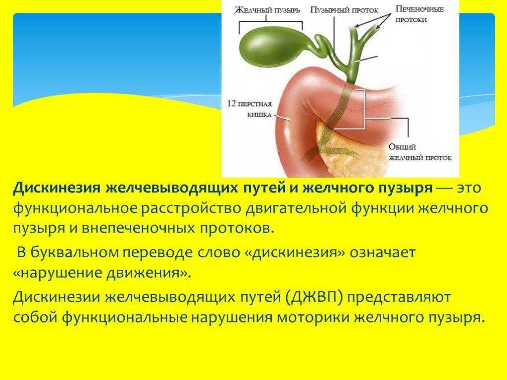 Полип желчного пузыря лечение - диагностика на узи, лечение, какие бывают размеры