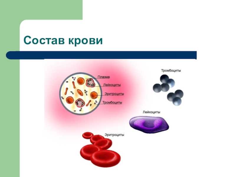 Кровотечения: симптомы и классификация, оказание доврачебной помощи, лечение