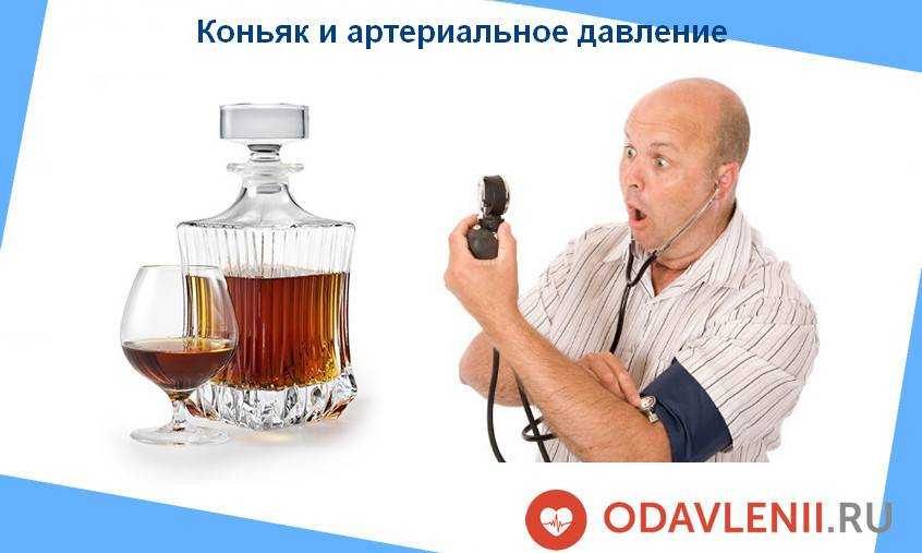 Сравнительные характеристики коньяка и водки. что лучше, различия, польза и вред организму