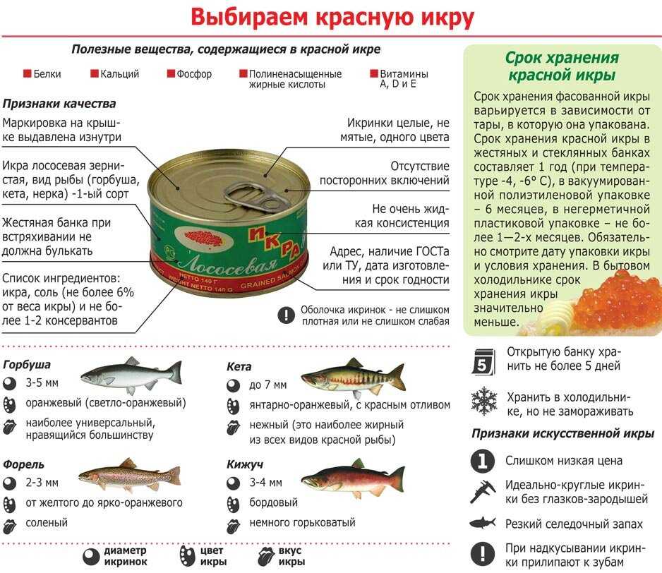 Рыба карась: описание вида, места обитания и особенности ловли