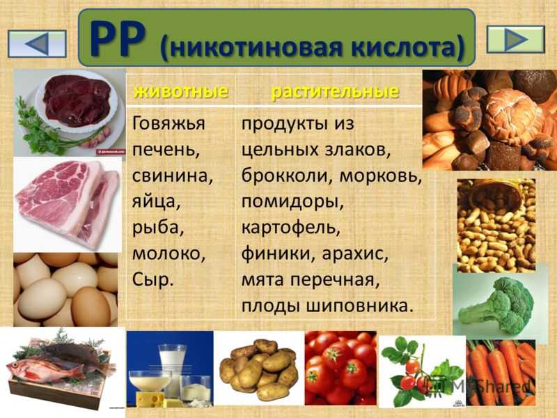 Судак
