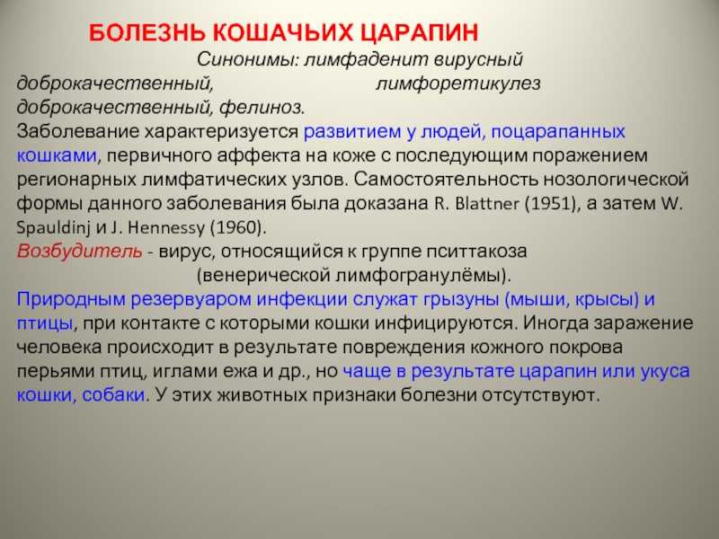 Фелиноз (болезнь кошачьих царапин): симптомы и лечение - medside.ru