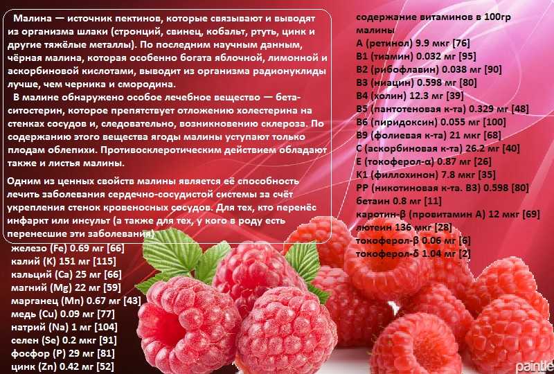 Малина - польза и вред для здоровья, состав, применение ягод с сахаром, чаев, настоев и отваров