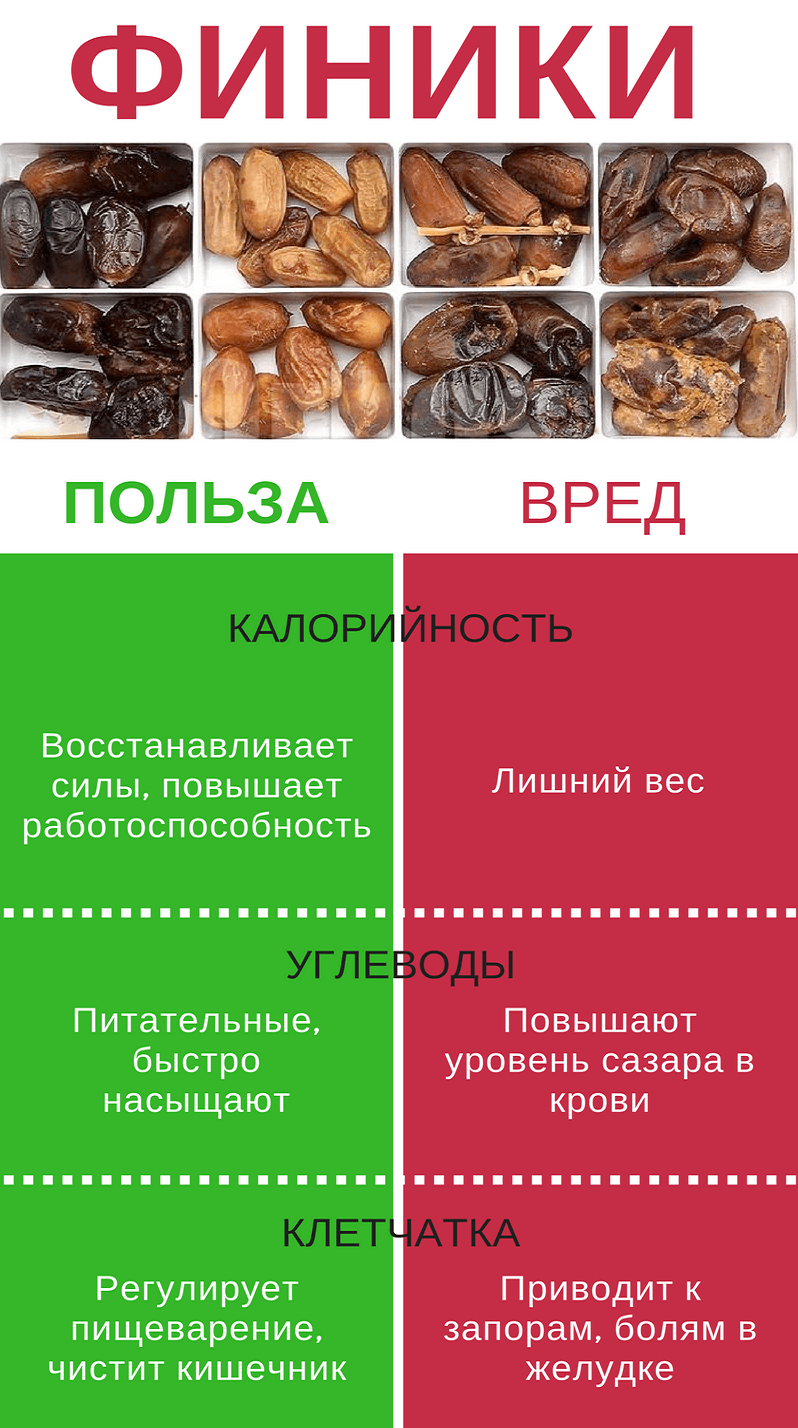 Финиковая диета: отзывы и результаты - medside.ru