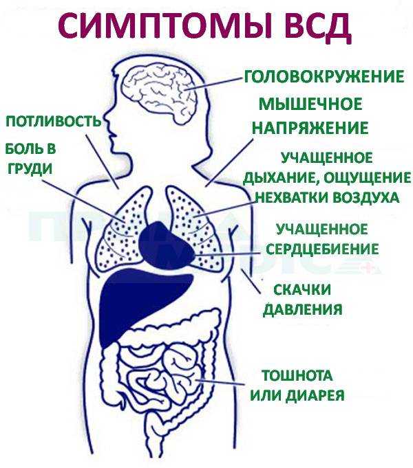 Энцефалопатия ️: симптомы, признаки и лечение энцефалопатии мозга