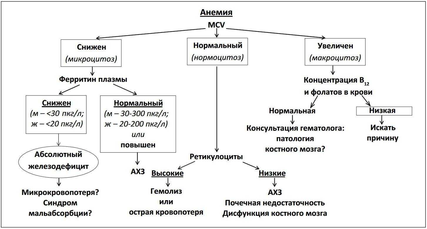 Мочевая кислота в крови повышена причины, симптомы и лечение у мужчин, женщин
