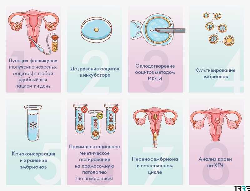 Диета при эко: полезные и запрещенные продукты, особое меню