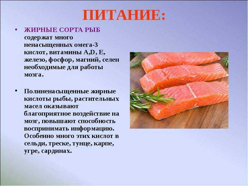 Полезные свойства форели, пищевая ценность продукта, советы по приготовлению рыбы