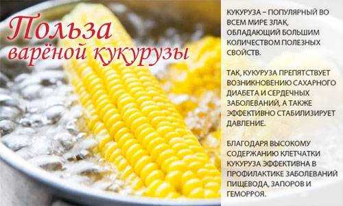 Кукуруза: состав, польза, вред, рецепты