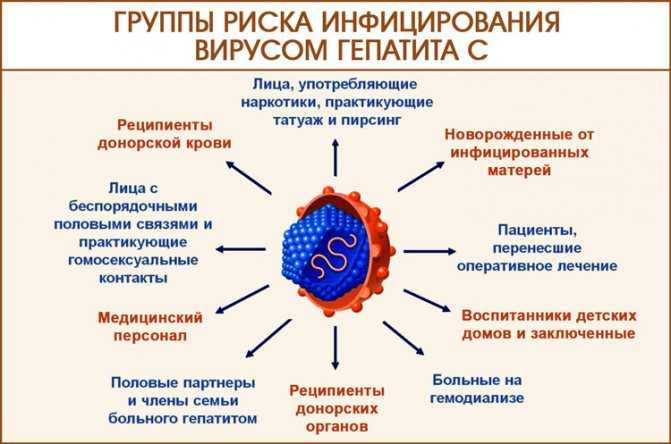 Хронический гепатит с презентация