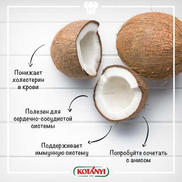 Что такое кокос, это фрукт или орех, где растёт, в чем польза? интересные факты, правила выращивания и применения
