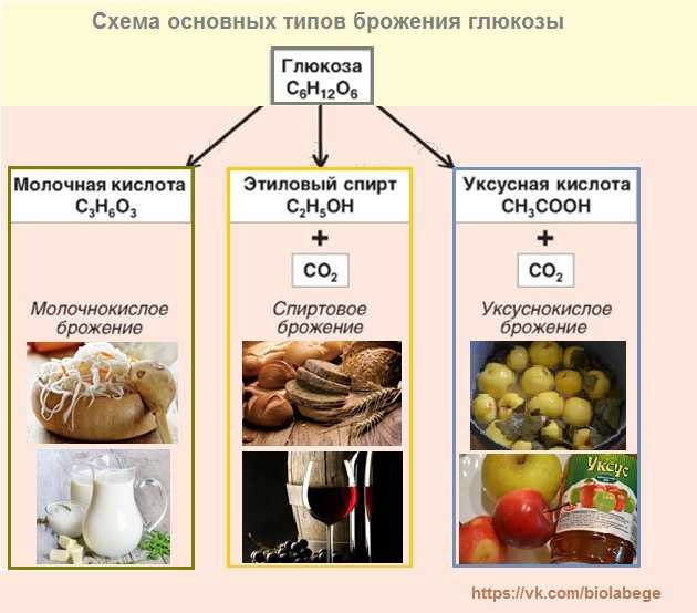 Что полезнее свежий хлеб или сухари? | польза и вред