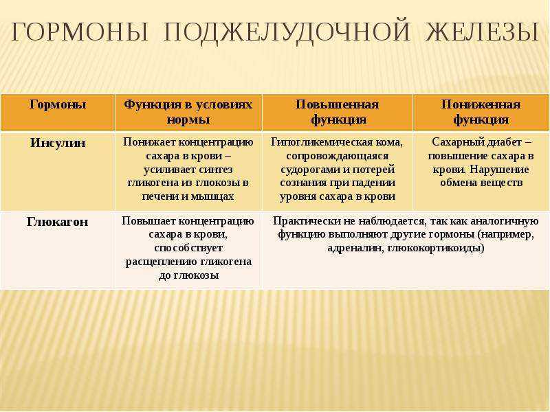 Поджелудочная железа