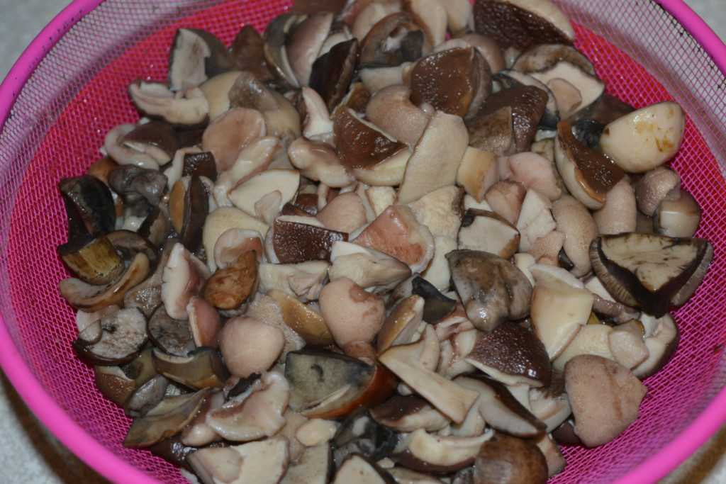 Белые грибы: калорийность на 100 грамм, польза, вред, витамины, минералы – хорошие привычки