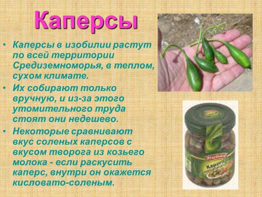 Что такое цукаты – полезное лакомство востока