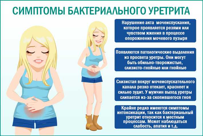 Цистит у женщин: причины, симптомы и лечение цистита