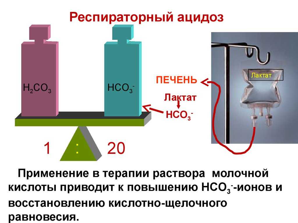 Физиология дыхания, дыхательная недостаточность и искусственная вентиляция (часть 1)