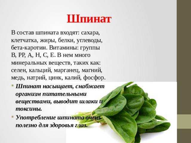 Польза и вред шпината для здоровья, лечебные эффекты и свойства