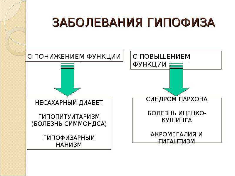 Гипоталамус какие гормоны вырабатывает