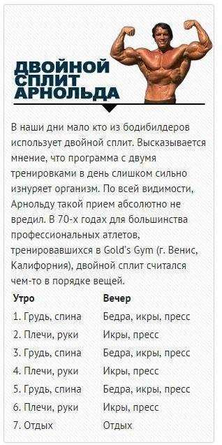 Какими были чемпионы «мистера олимпии» в молодости и как сейчас