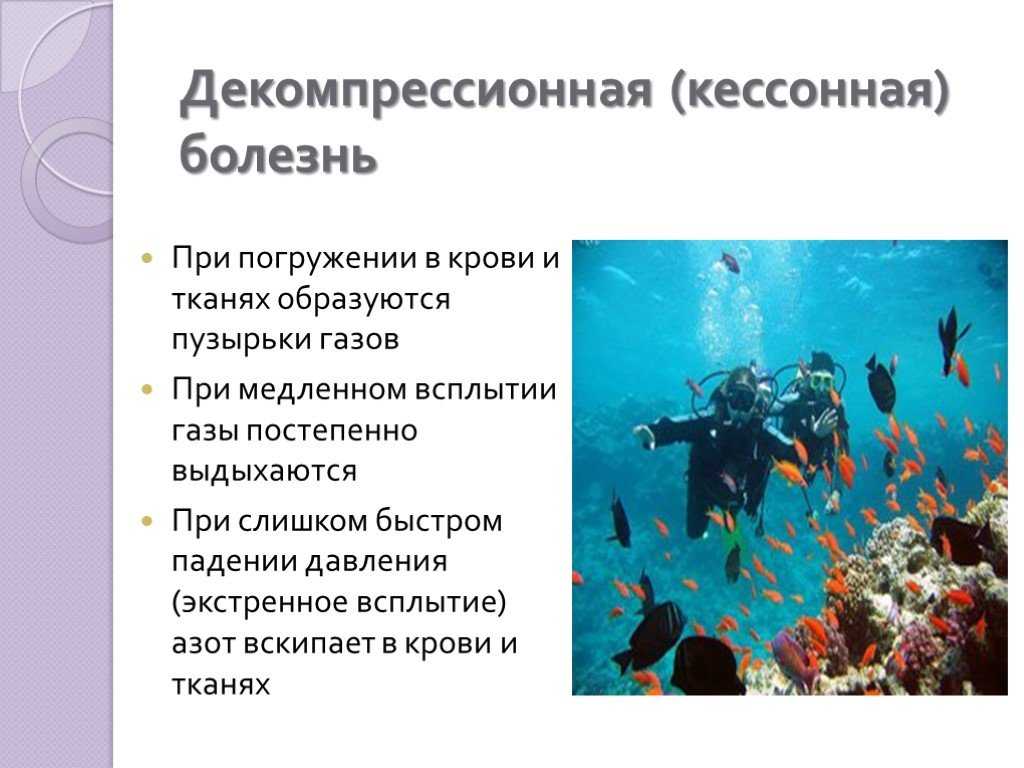 Кессонная болезнь возникает в результате изменения концентрации. Декомпрессионная (кессонная) болезнь. Кессонная болезнь патогенез. Кессон кессонная болезнь. Кессонная болезнь возникает.