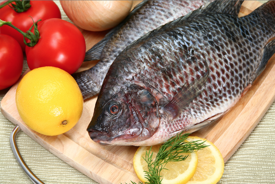 Рыба тилапия: что за рыба, где водится, калорийность, польза