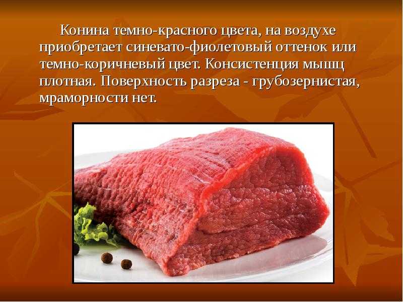Оленина: польза и вред мяса для организма человека, состав, калорийность, содержание бжу, рецепты