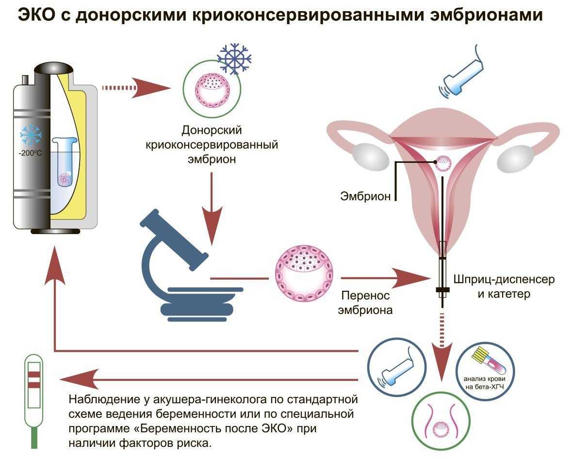 роль спермы в организме фото 74