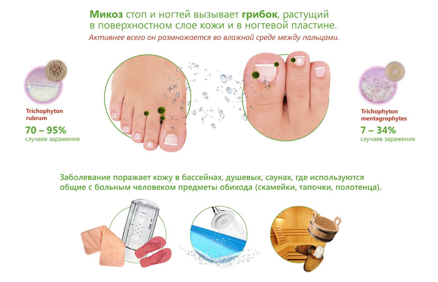 Противогрибковая диета