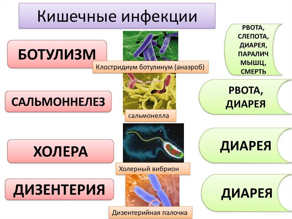 Рисунок кишечной инфекции