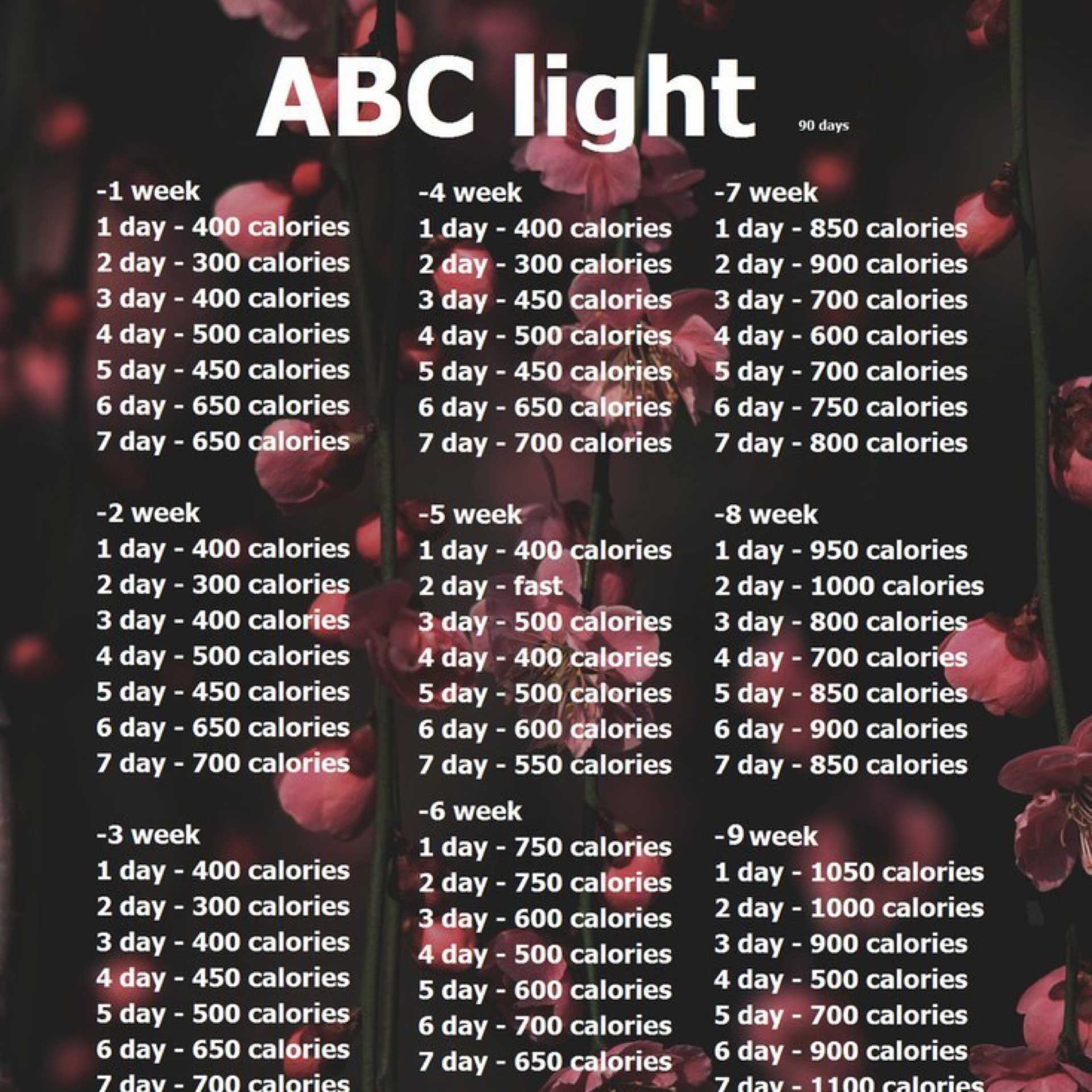 1000 дней отзывы. ABC Superlight 50 дней. Диета ABC Superlight 30 дней. Диета АВС Суперлайт. Диета ABC Superlight 30.
